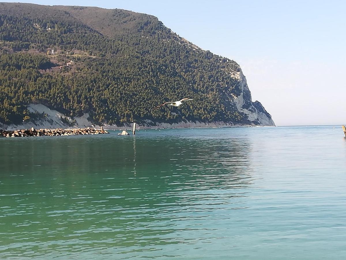 La Casina Di Sonia Hotel Ancona Bagian luar foto